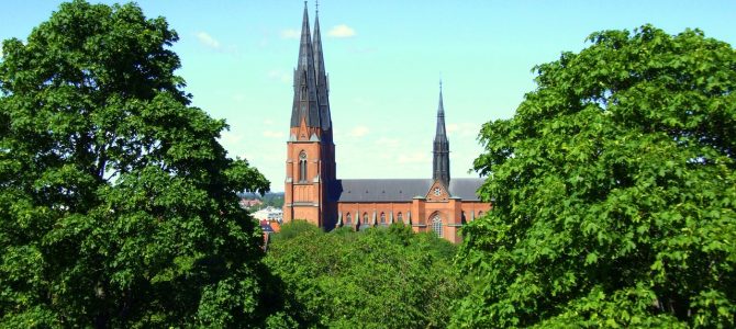Ska man boka en takfirma i Uppsala eller göra jobbet själv?